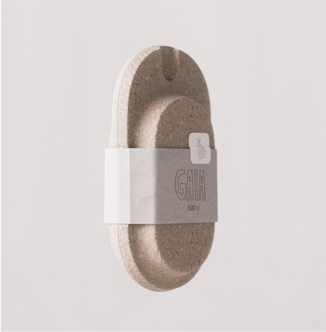 GAIA - Healthcare Innovation project from 2024